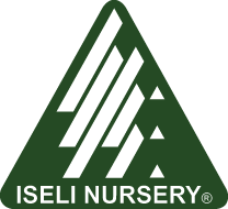 Iseli Nursery: Event Profile / Showcase 