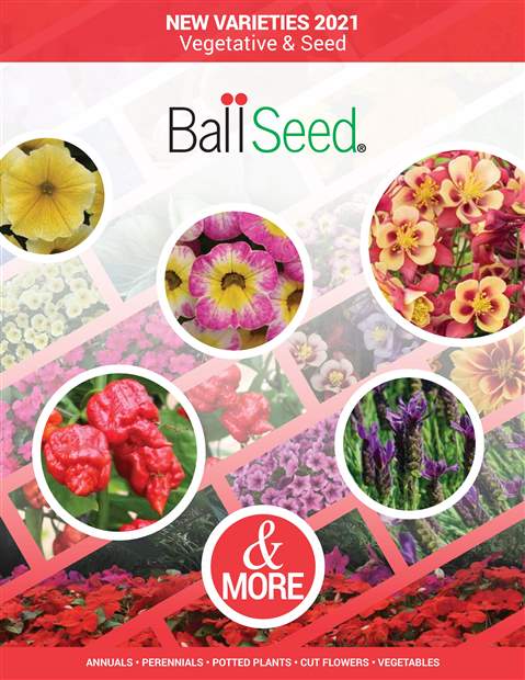 Ball Seed - Catalogs: Ball Seed