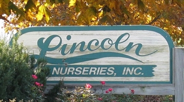 Lincoln Nurseries -- Our Event Showcase 